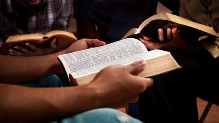 Best Bibles for Beginners: 7 Great Choices for New Believers