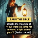 What’s the meaning of “Your word is a lamp for my feet, a light on my path” (Psalm 119105)