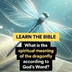 What is the spiritual meaning of the dragonfly according to God’s Word?